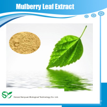 Extracto de Hoja de Mulberry / Extracto de Hoja de Mulberry 1-DNJ / Extracto de Hoja de Mulberry en Polvo